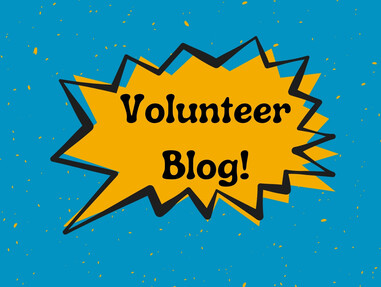 Volunteer Blog